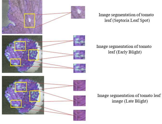 Fig. 6: Object segmentation using semantic segmentation of the image.
